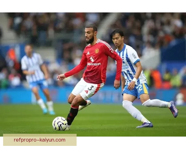 英超布莱顿转会窗表现稳健，夏季引援或将增强球队竞争力